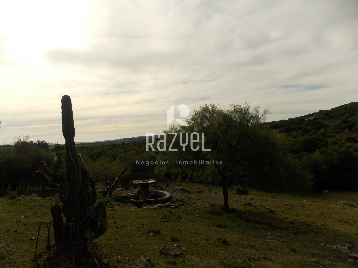 Chacra ID.1084 - Venta de Chacra 8 Hectareas Sierra los Caracoles 