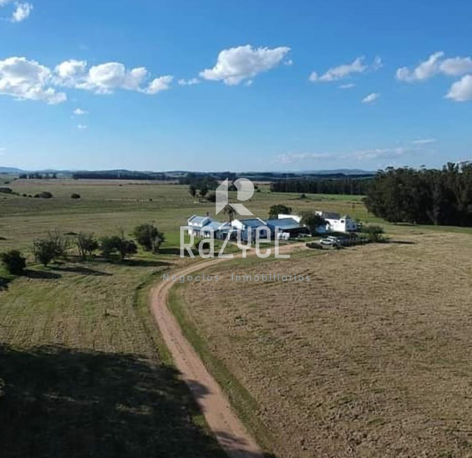 Chacra ID.997 - Chacra de 20 hectáreas con vertiente de agua mineral y 1000 m² construidos 