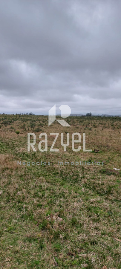 Chacra ID.634 - Venta de Chacra con Casa y Galpon en Caminos Los Ceibos