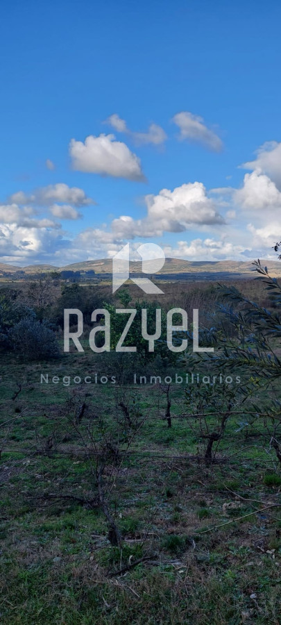 Chacra ID.610 - Venta de Chacra con casa en Eden  Ruta 12 . 