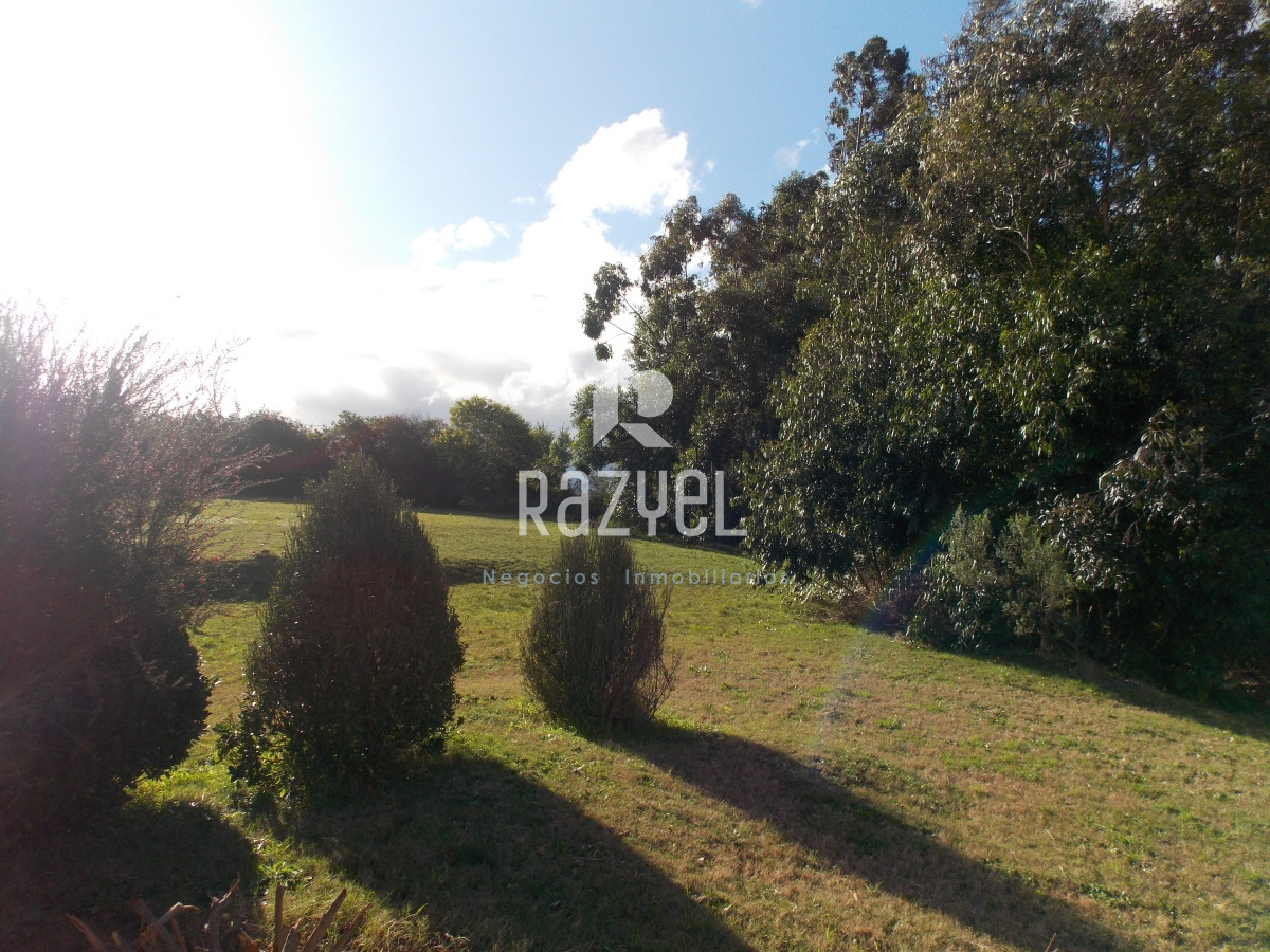 Chacra ID.635 - Venta de Chacra en zona Ruta 12 con casa Principal y casa de Huespedes