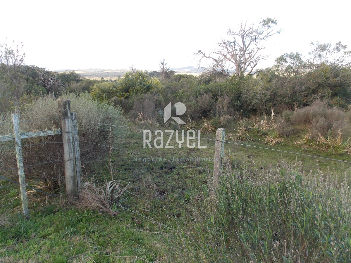 Chacra ID.635 - Venta de Chacra en zona Ruta 12 con casa Principal y casa de Huespedes