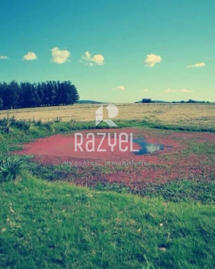 Chacra ID.997 - Chacra de 20 hectáreas con vertiente de agua mineral y 1000 m² construidos 