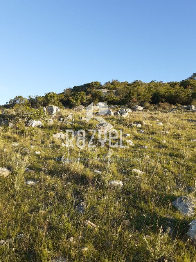 Chacra ID.649 - CHACRA DE 5 HECTAREAS