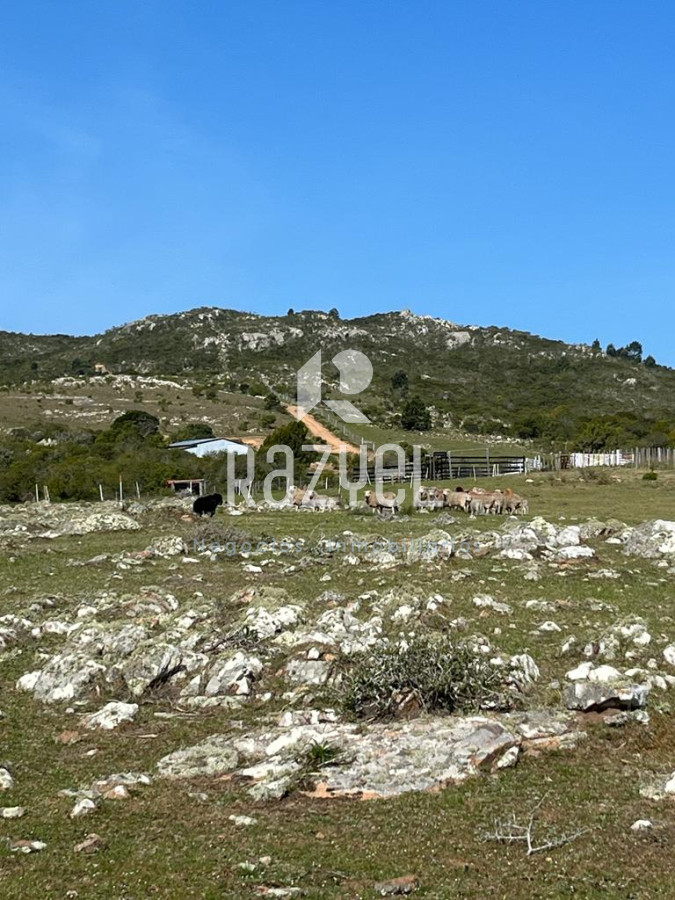 Chacra ID.654 - Chacra 5 hercareas Camino Dutra, San Carlos