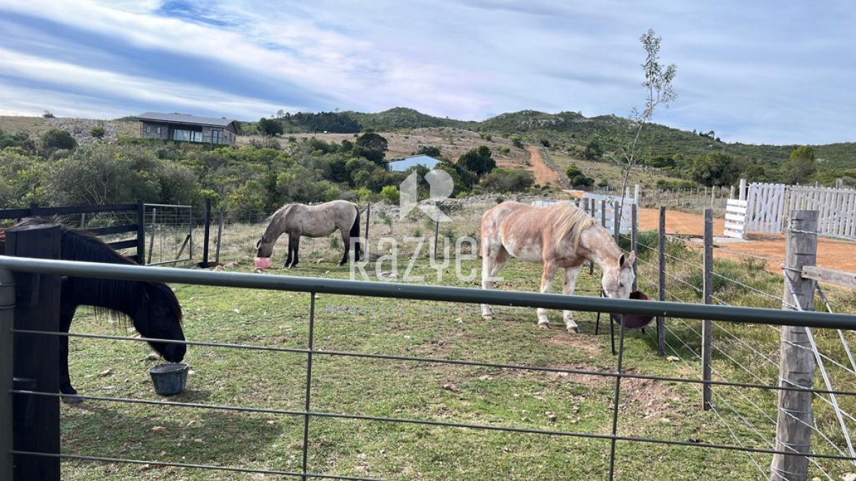Chacra ID.654 - Chacra 5 hercareas Camino Dutra, San Carlos