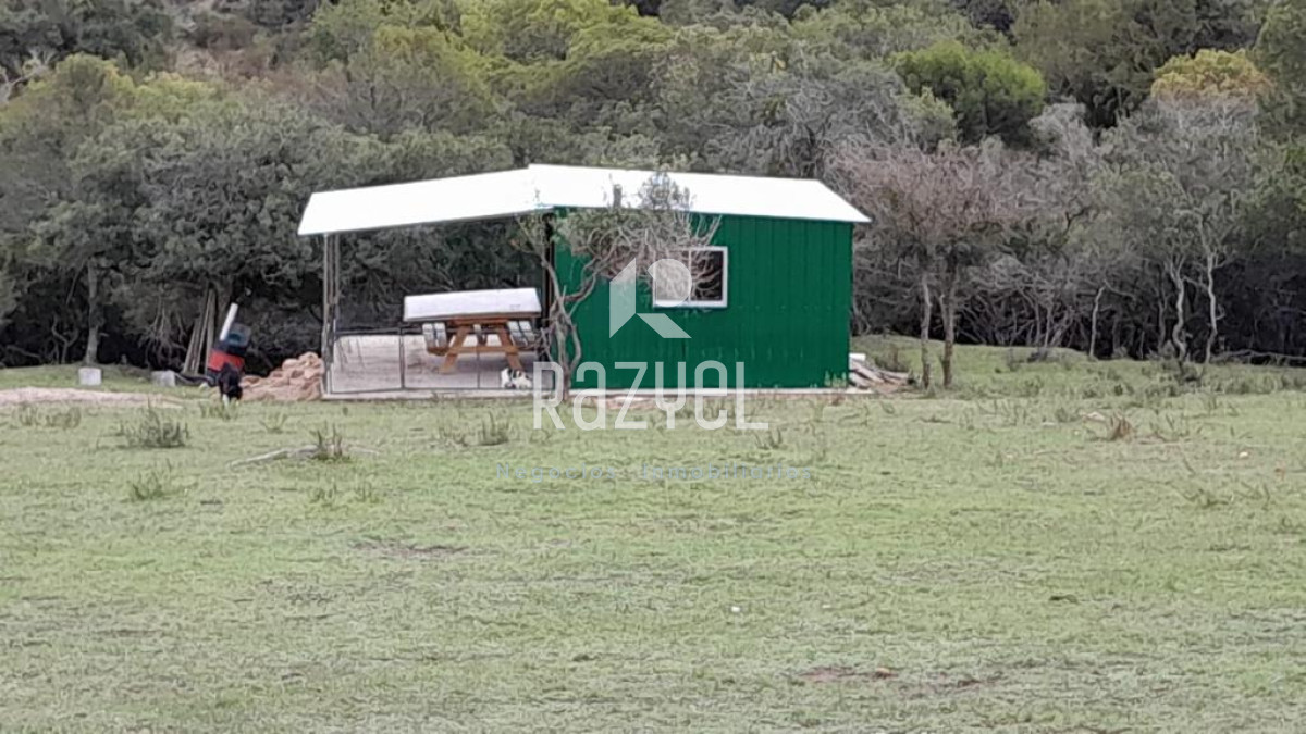 Chacra ID.654 - Chacra 5 hercareas Camino Dutra, San Carlos