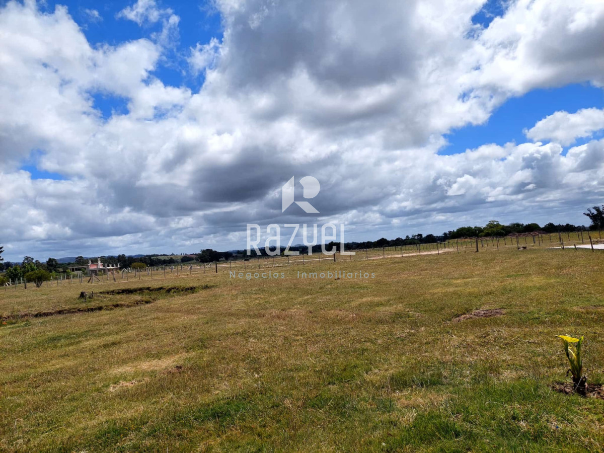 Chacra ID.1194 - Venta Chacra de 5 has. Altos de Marelli  con casa Principal , Barbacoa , Galpon y piscina