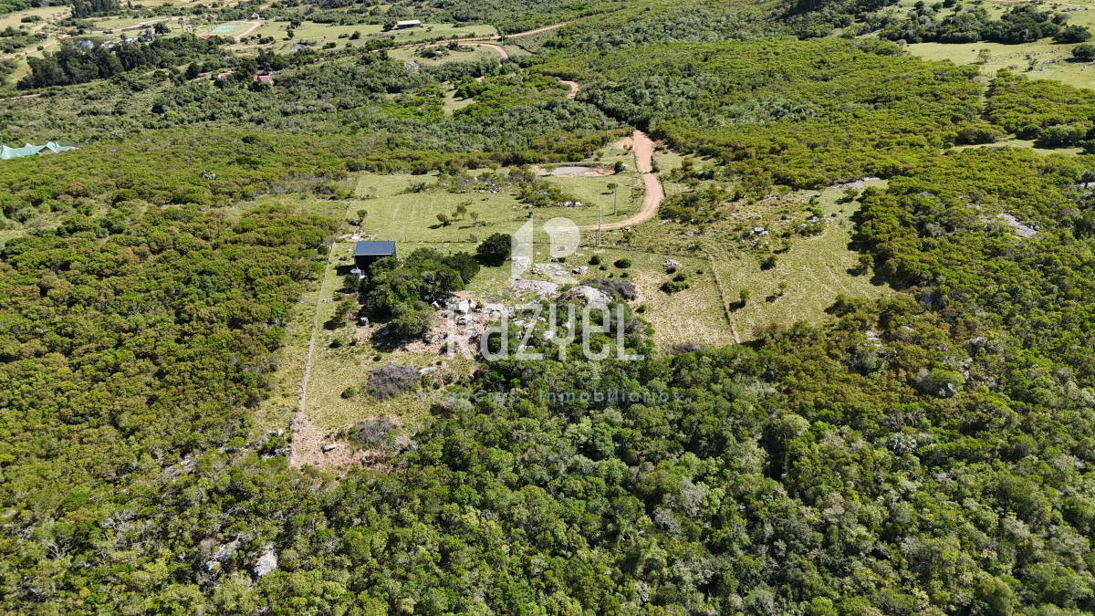 Chacra ID.841 - Chacra en Venta 6 hectareas en Paraje Las Cañas