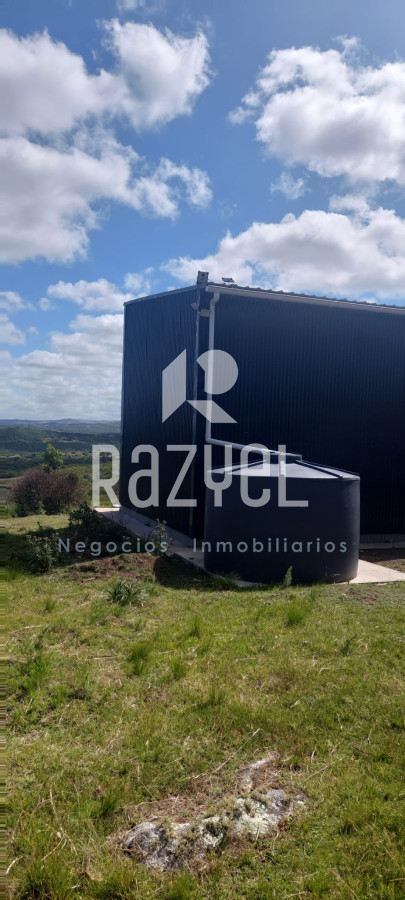 Chacra ID.841 - Chacra en Venta 6 hectareas en Paraje Las Cañas