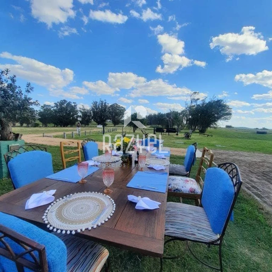 Chacra ID.997 - Chacra de 20 hectáreas con vertiente de agua mineral y 1000 m² construidos 