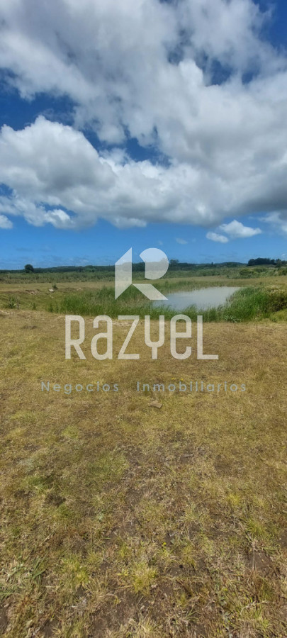 Chacra ID.1194 - Venta Chacra de 5 has. Altos de Marelli  con casa Principal , Barbacoa , Galpon y piscina