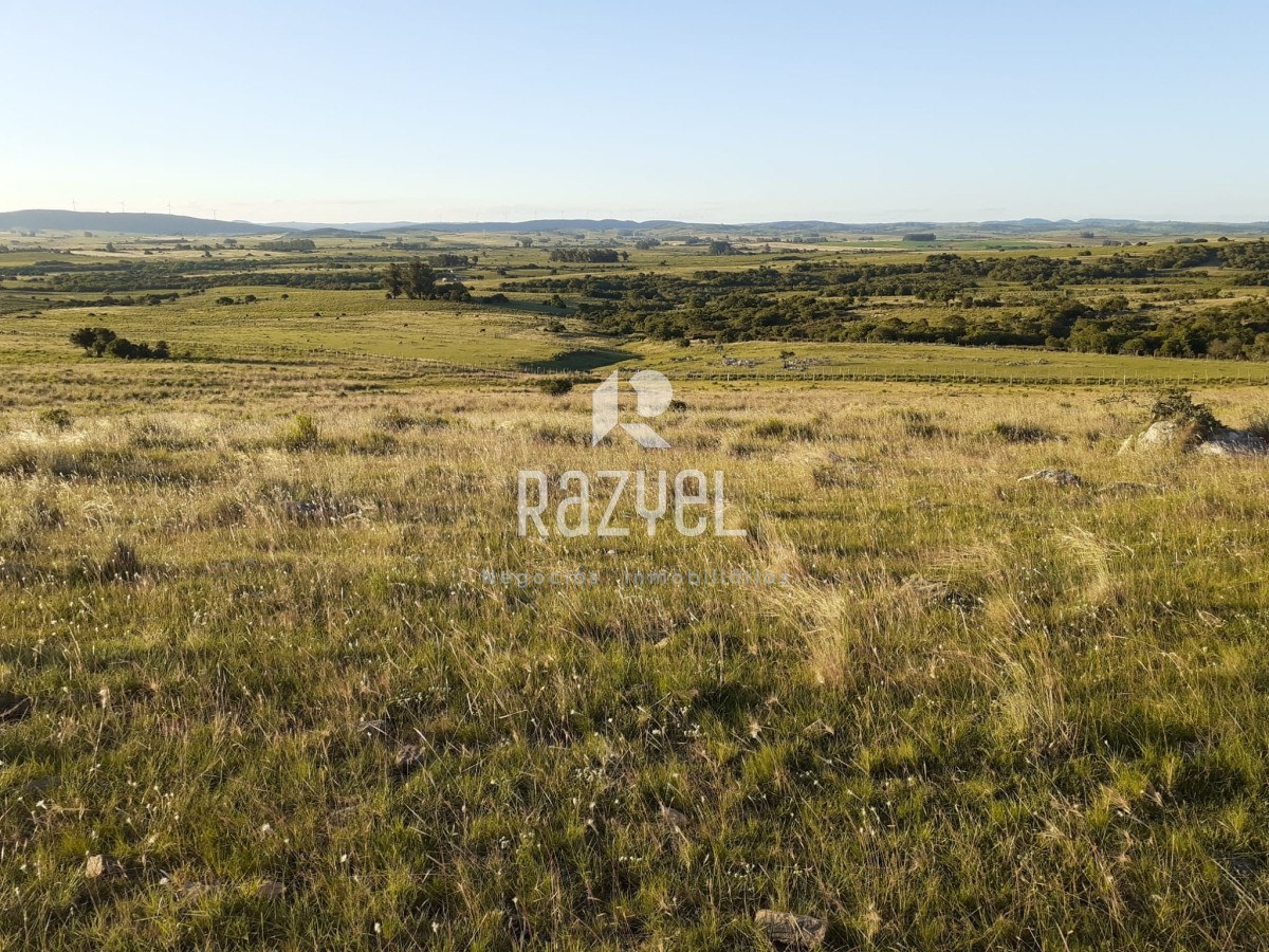 Chacra ID.649 - CHACRA DE 5 HECTAREAS