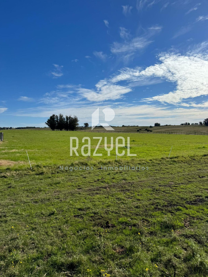 Laguna José Ignacio - GoPunta - Portal Inmobiliario de Punta del Este - Maldonado