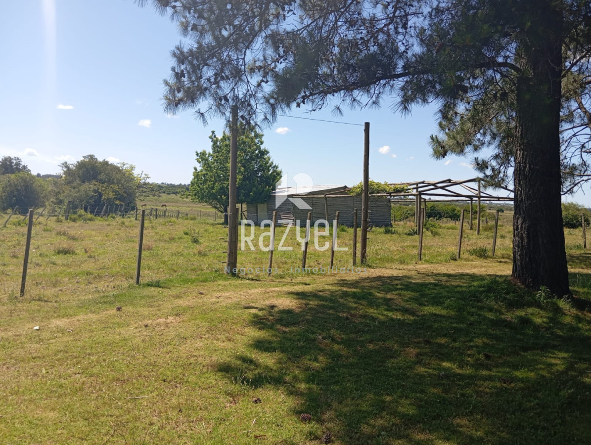 Chacra ID.1173 - Chacra en Venta de 18 hectareas Maldonado Camino Los Ceibos