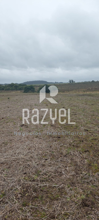 Chacra ID.1054 - Chacra en Venta de 5 hectareas en Playa Hermosa .Maldonado