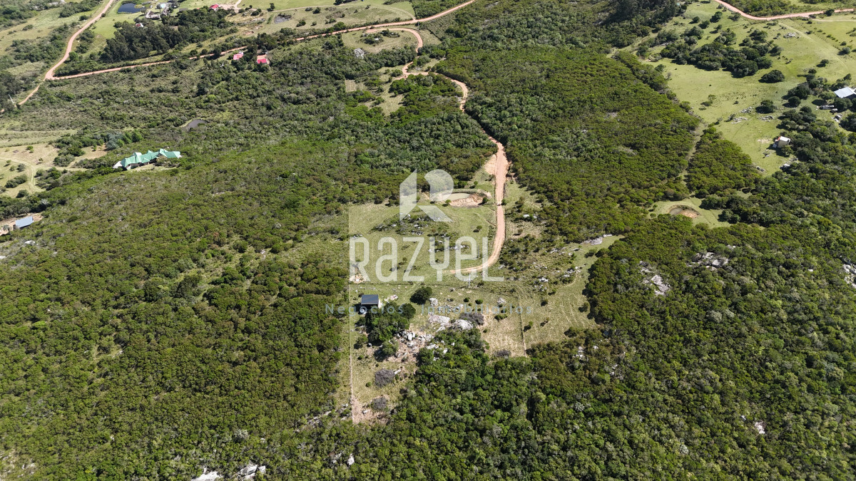 Chacra ID.841 - Chacra en Venta 6 hectareas en Paraje Las Cañas