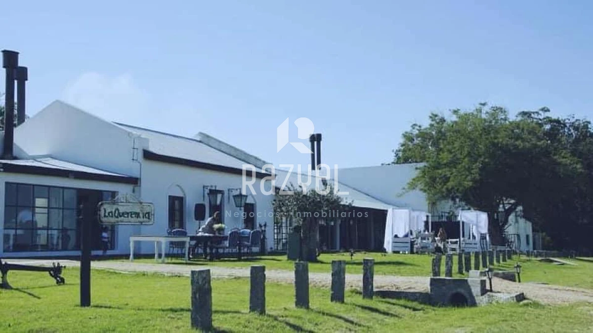 Chacra ID.997 - Chacra de 20 hectáreas con vertiente de agua mineral y 1000 m² construidos 