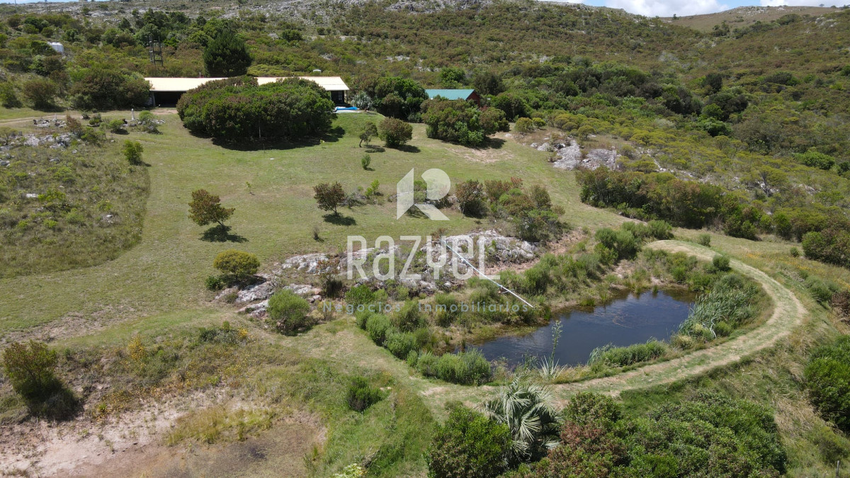 Las Cañas - GoPunta - Portal Inmobiliario de Punta del Este - Maldonado