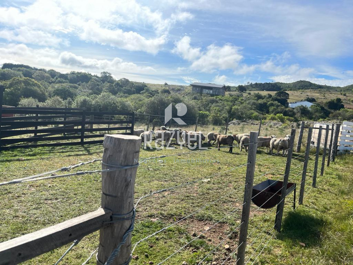Chacra ID.654 - Chacra 5 hercareas Camino Dutra, San Carlos