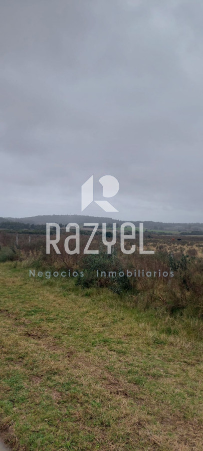 Chacra ID.1054 - Chacra en Venta de 5 hectareas en Playa Hermosa .Maldonado