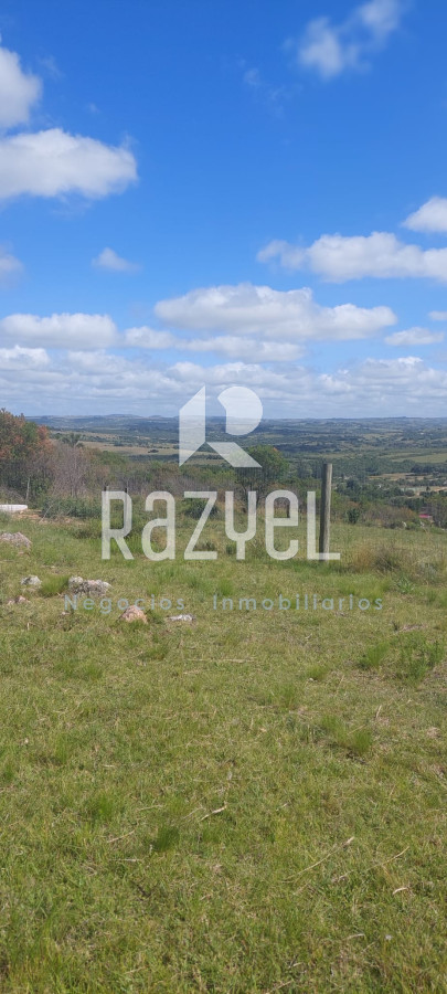 Chacra ID.841 - Chacra en Venta 6 hectareas en Paraje Las Cañas