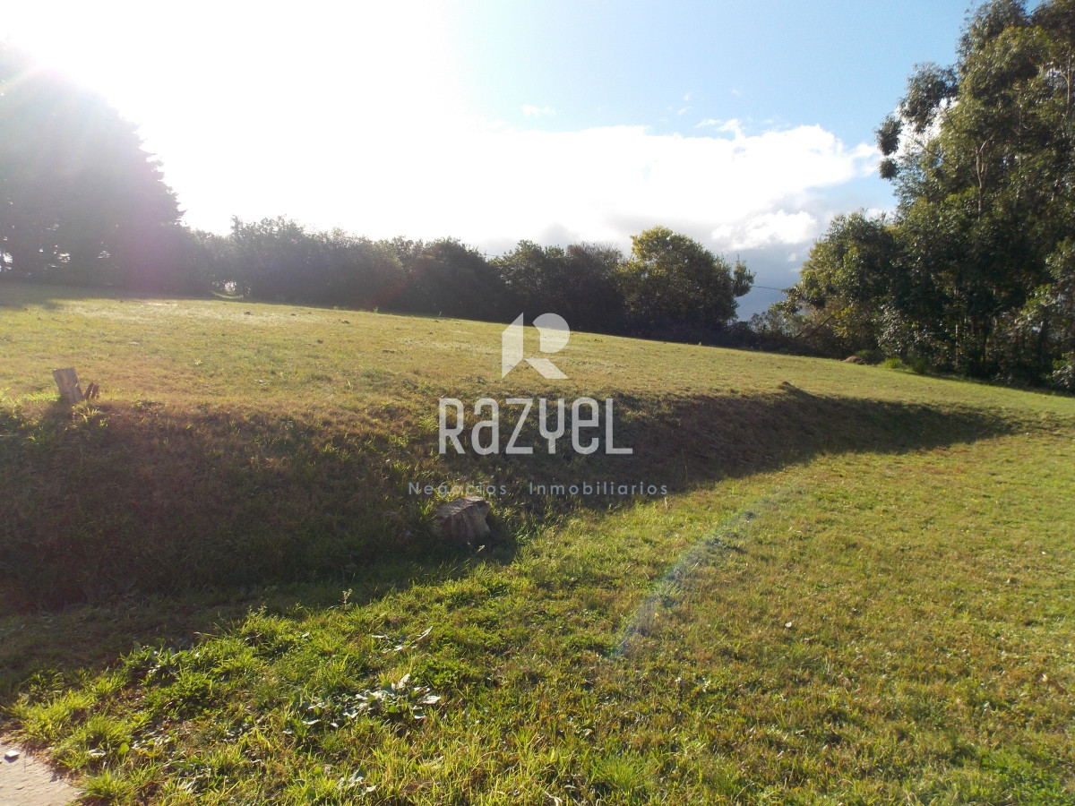 Chacra ID.610 - Venta de Chacra con casa en Eden  Ruta 12 . 