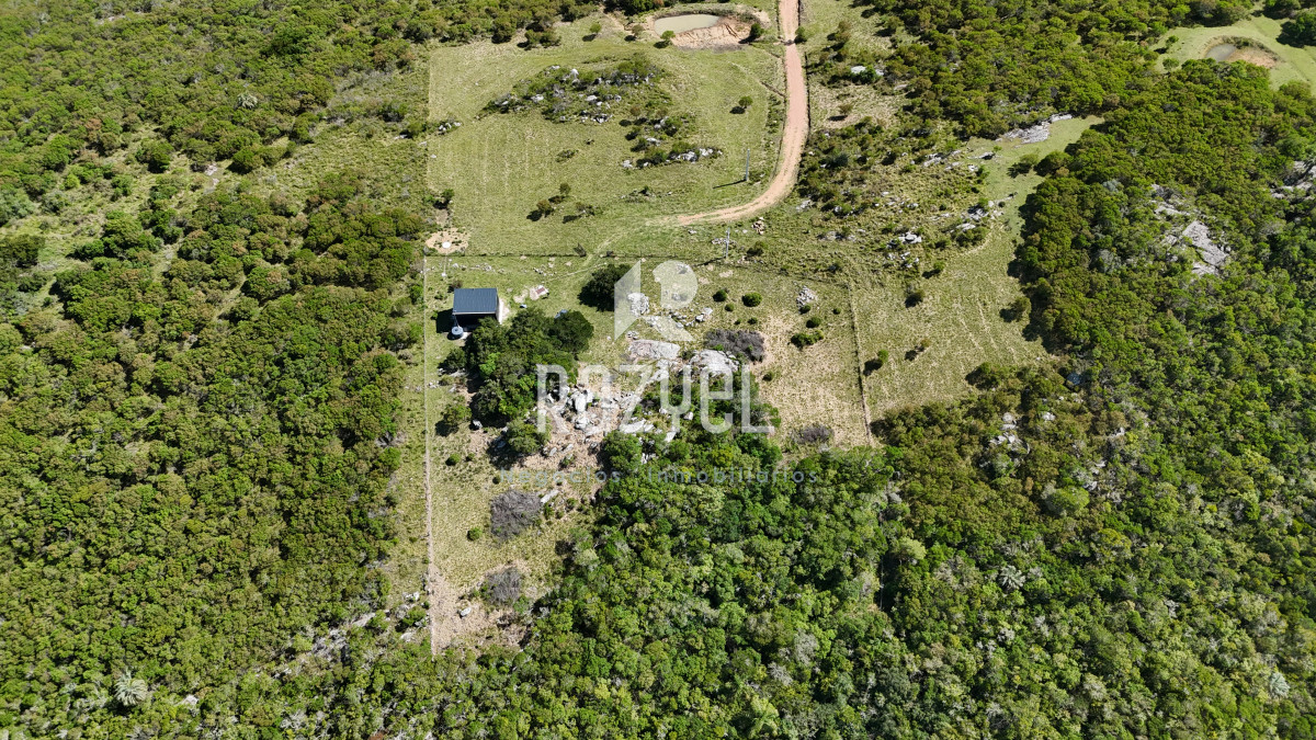 Chacra ID.841 - Chacra en Venta 6 hectareas en Paraje Las Cañas