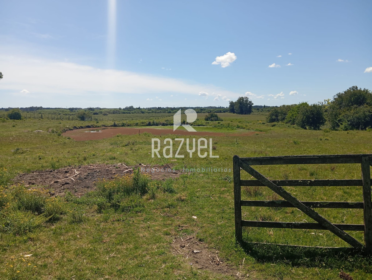 Chacra ID.1173 - Chacra en Venta de 18 hectareas Maldonado Camino Los Ceibos