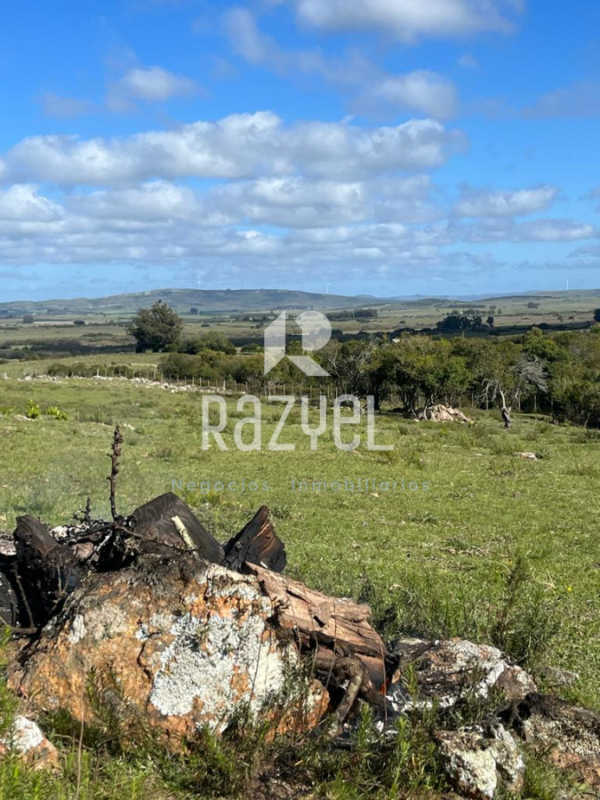 Chacra ID.654 - Chacra 5 hercareas Camino Dutra, San Carlos