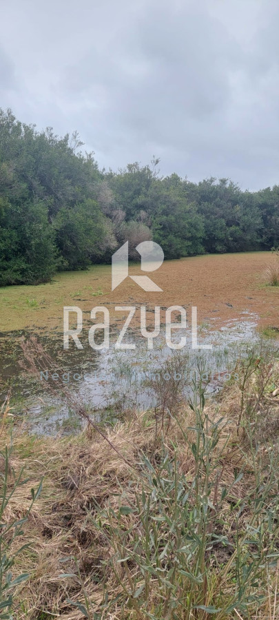 Chacra ID.1054 - Chacra en Venta de 5 hectareas en Playa Hermosa .Maldonado