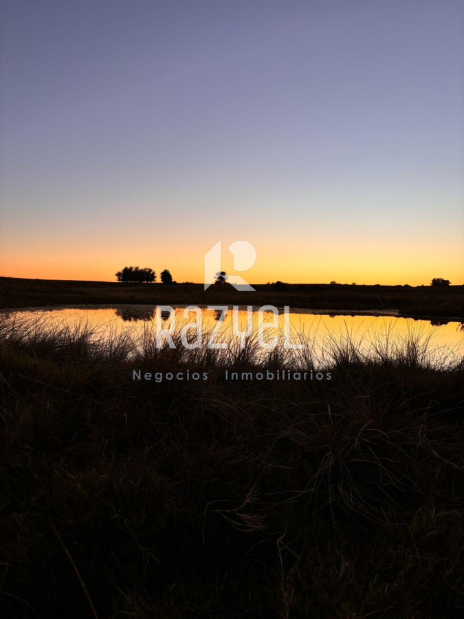 Laguna José Ignacio - GoPunta - Portal Inmobiliario de Punta del Este - Maldonado