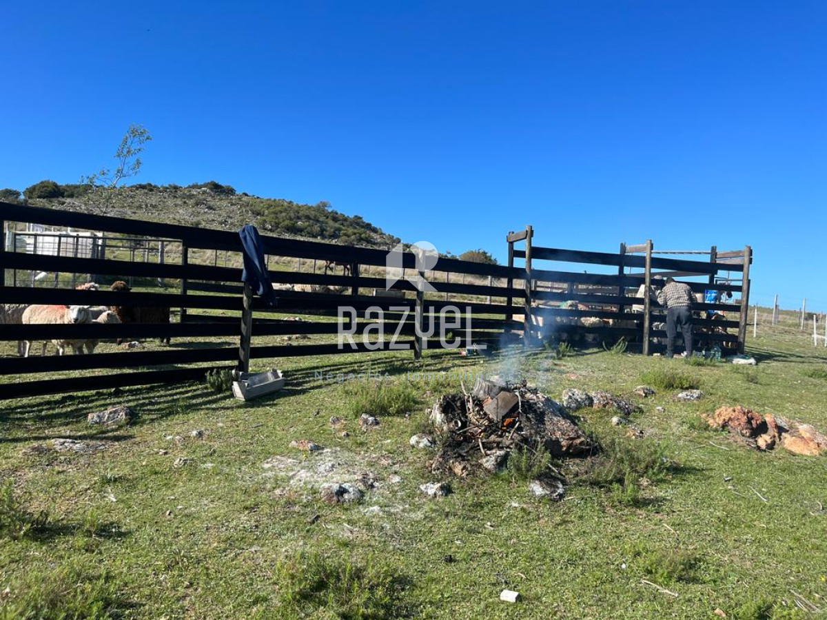 Chacra ID.654 - Chacra 5 hercareas Camino Dutra, San Carlos