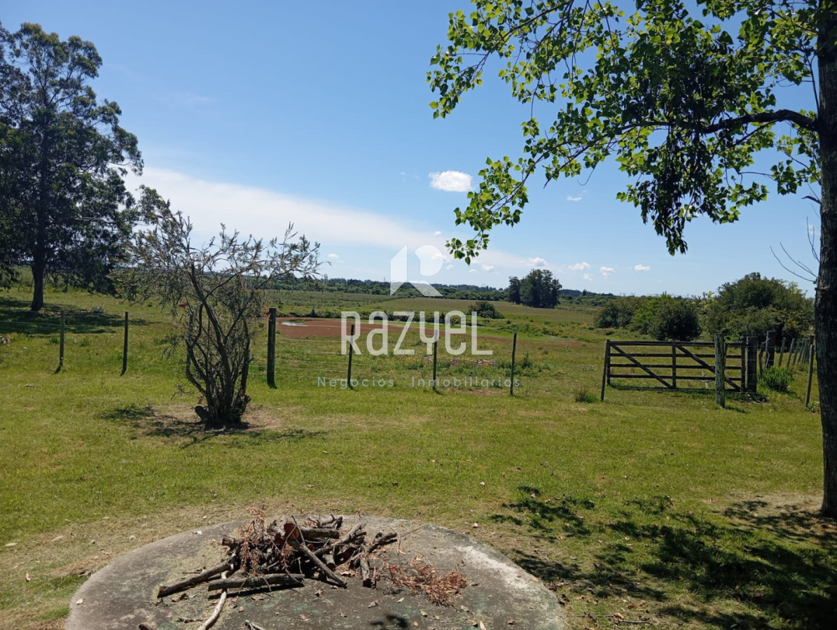 Chacra ID.1173 - Chacra en Venta de 18 hectareas Maldonado Camino Los Ceibos