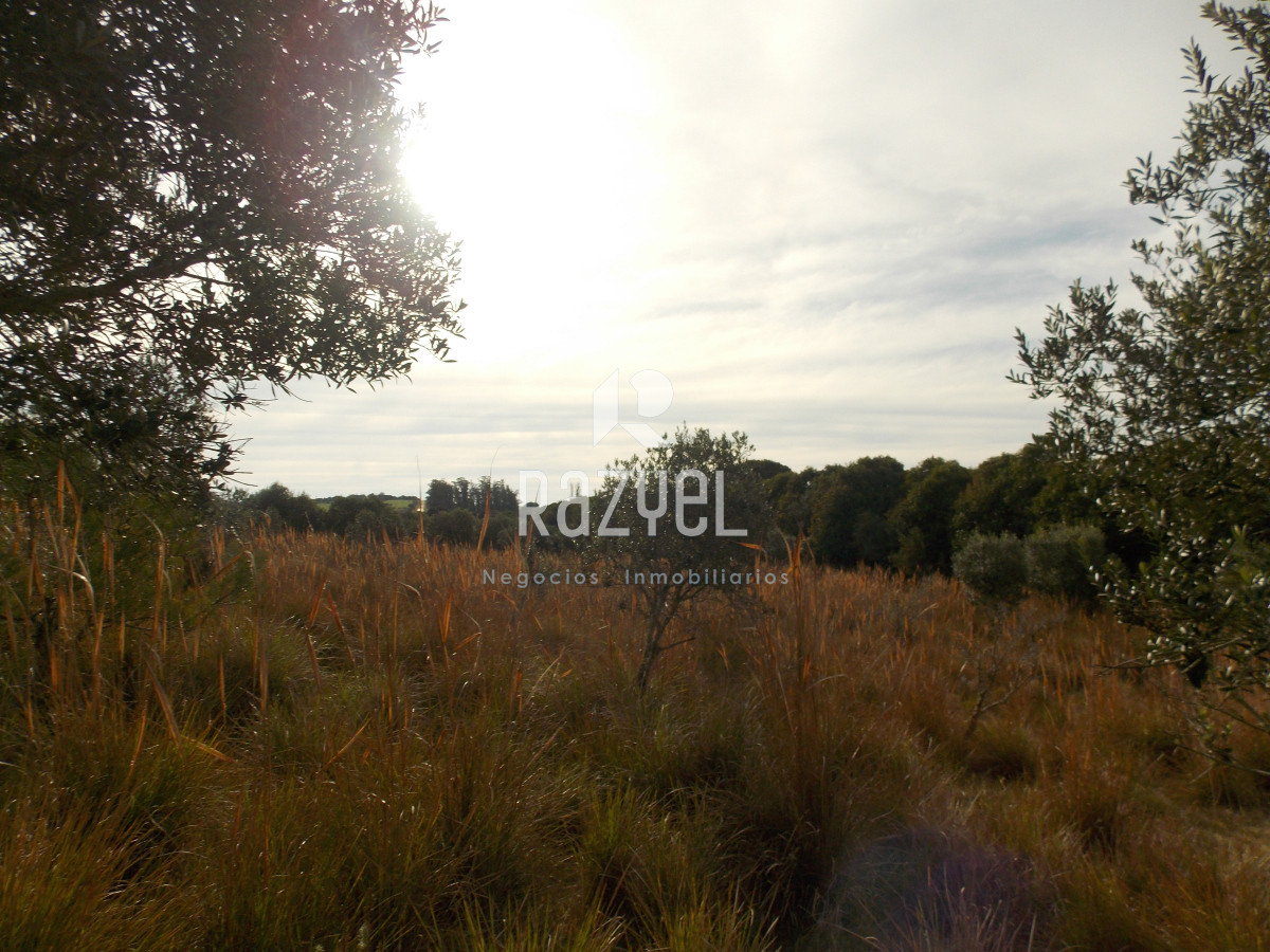 Chacra ID.1084 - Venta de Chacra 8 Hectareas Sierra los Caracoles 