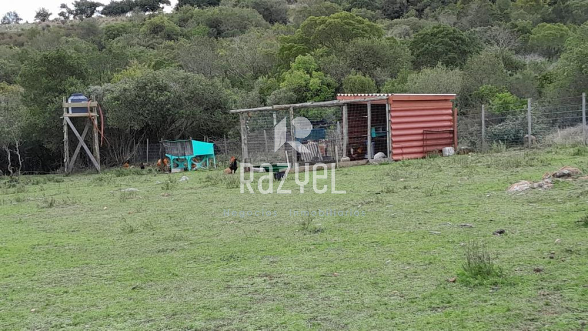 Chacra ID.654 - Chacra 5 hercareas Camino Dutra, San Carlos