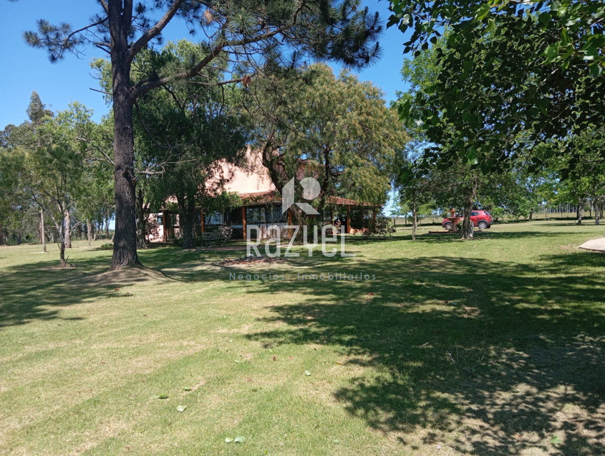 Chacra ID.1173 - Chacra en Venta de 18 hectareas Maldonado Camino Los Ceibos