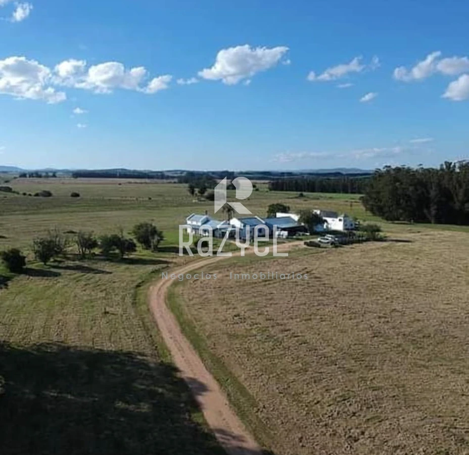 Chacra ID.997 - Chacra de 20 hectáreas con vertiente de agua mineral y 1000 m² construidos 