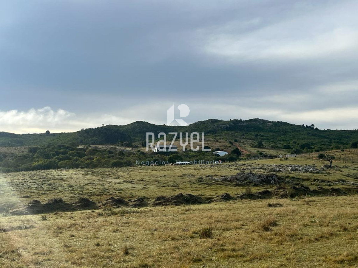 Chacra ID.654 - Chacra 5 hercareas Camino Dutra, San Carlos