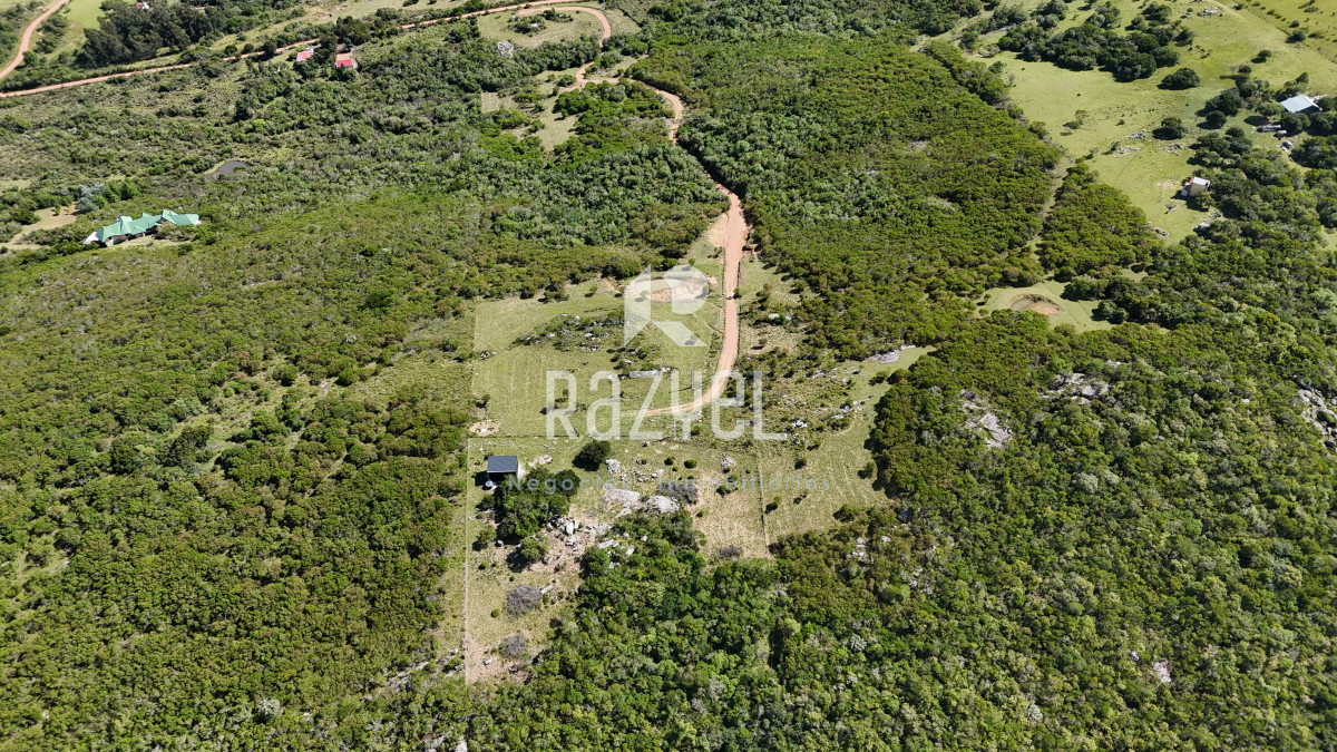 Chacra ID.841 - Chacra en Venta 6 hectareas en Paraje Las Cañas