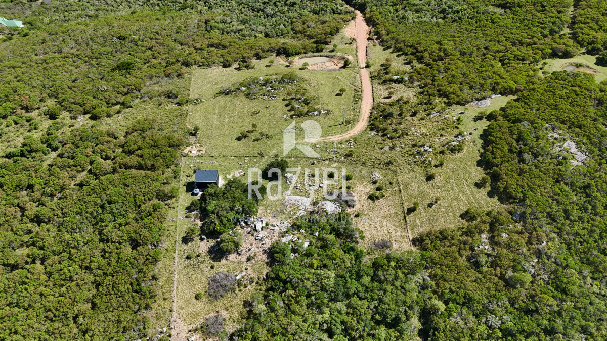 Chacra ID.841 - Chacra en Venta 6 hectareas en Paraje Las Cañas