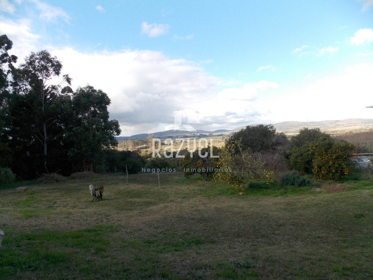 Chacra ID.635 - Venta de Chacra en zona Ruta 12 con casa Principal y casa de Huespedes