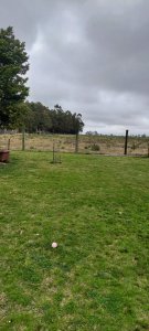 Venta de Chacra con Casa y Galpon en Caminos Los Ceibos