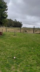 Venta de Chacra con Casa y Galpon en Caminos Los Ceibos