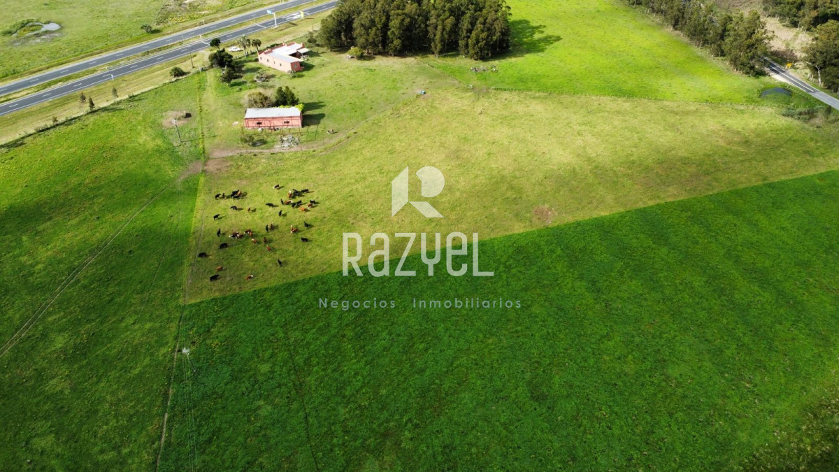 Campo Ref.798 - 81,5 Hect en Garzon