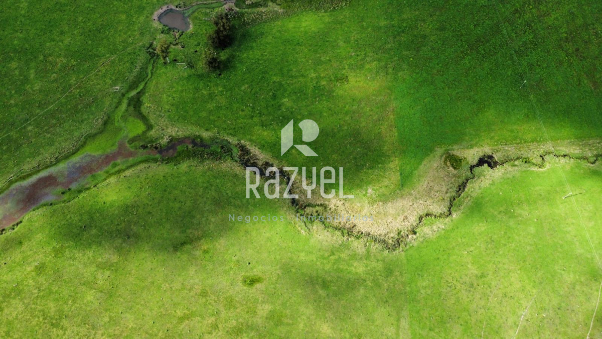 Campo Ref.798 - 81,5 Hect en Garzon