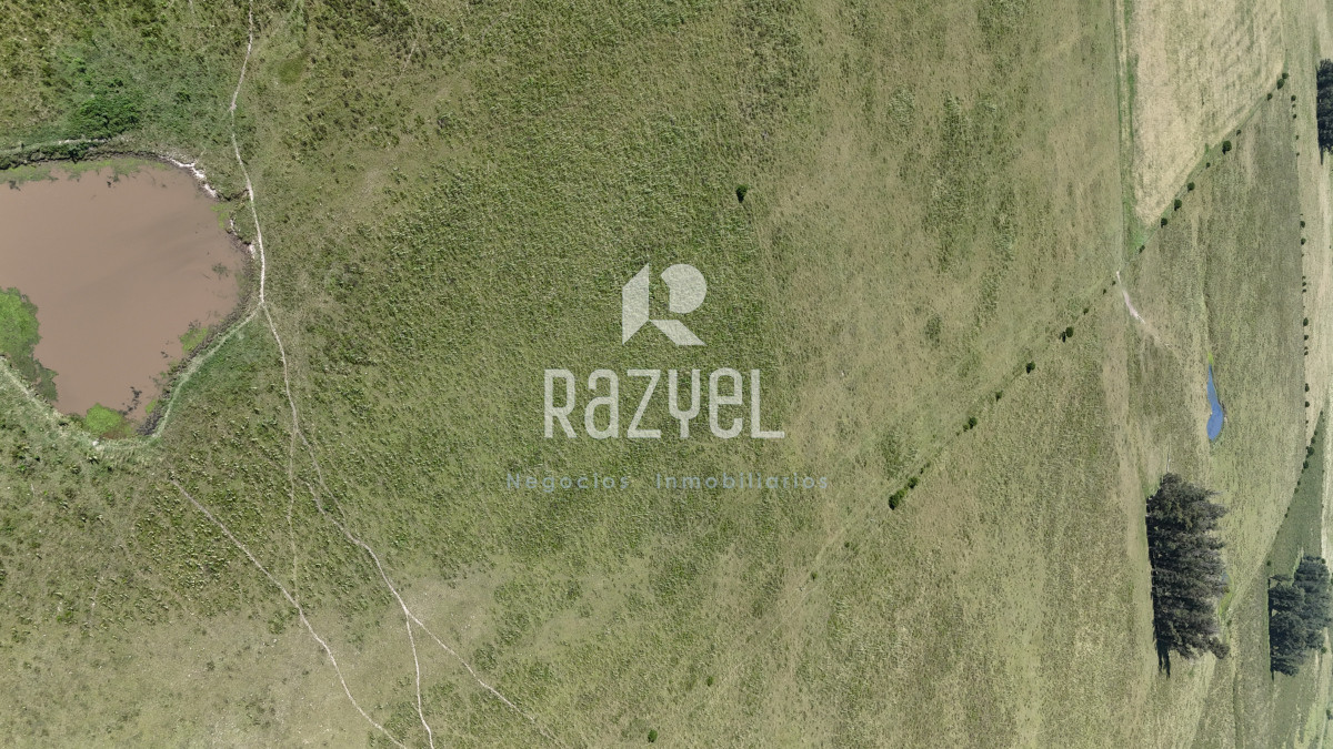 Campo Ref.840 - Venta de Campo de 100 hectareas de Campo Ganadero Agricola Zanja de Chavez 