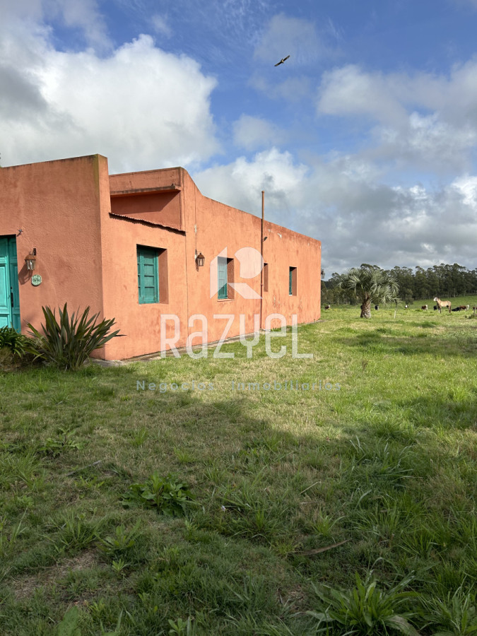 Campo Ref.798 - 81,5 Hect en Garzon