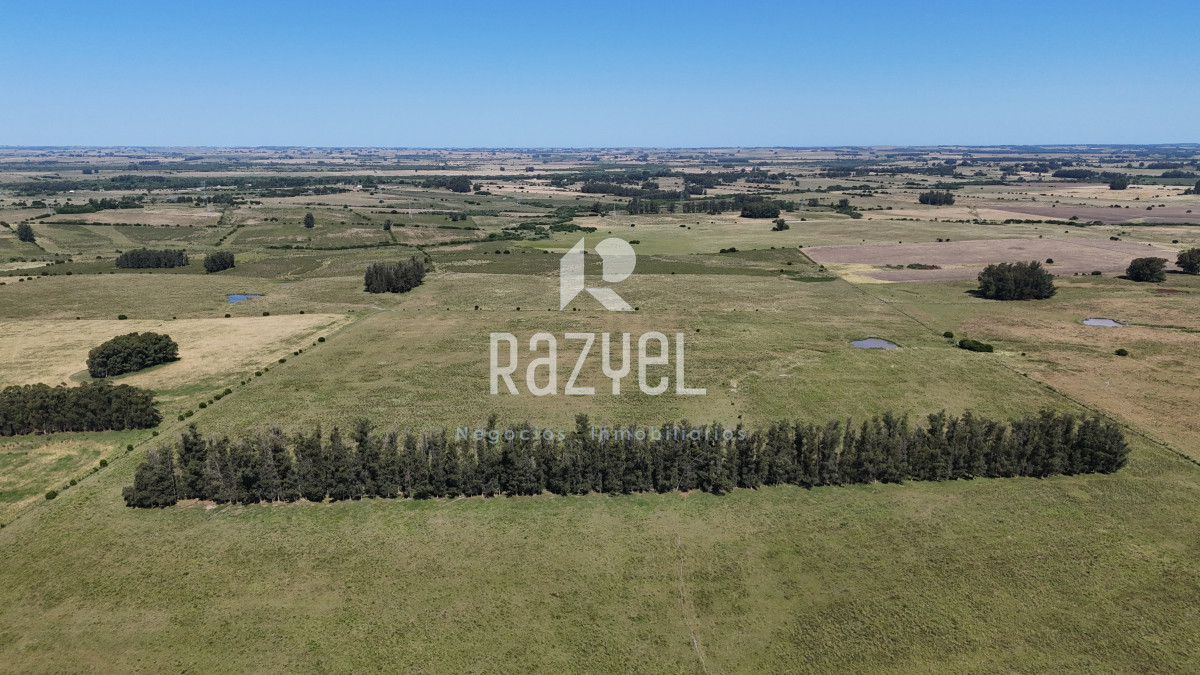 Campo Ref.840 - Venta de Campo de 100 hectareas de Campo Ganadero Agricola Zanja de Chavez 
