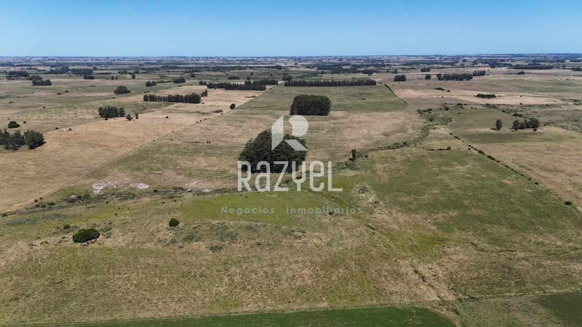 Campo Ref.840 - Venta de Campo de 100 hectareas de Campo Ganadero Agricola Zanja de Chavez 